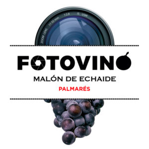 FOTOVINO-PALMARES-600x600