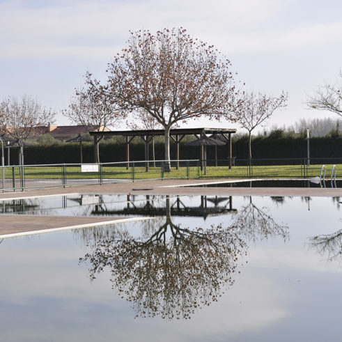 Ganadora Categoria Local Fotovino 2023 | Malón de Echaide