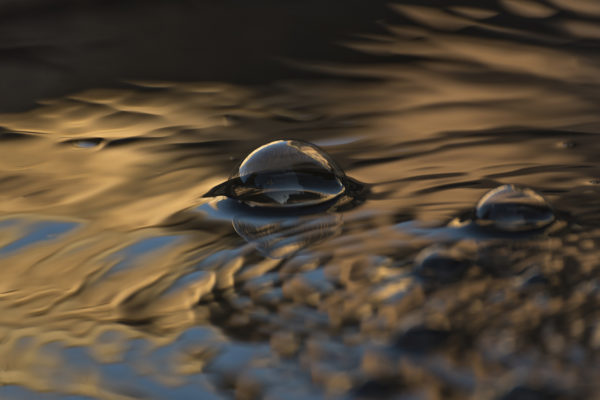 Ganadora Categoria Bokeh Fotovino 2023 | Malón de Echaide